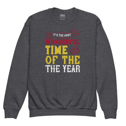 It's the Most Wonderful Time of the Year Christmas Kids Sweatshirt