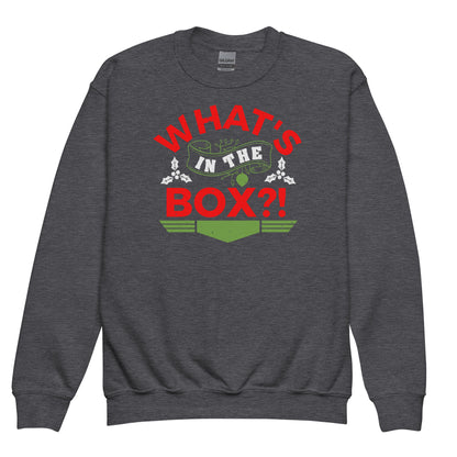 What's in the Box Christmas Kids Sweatshirt