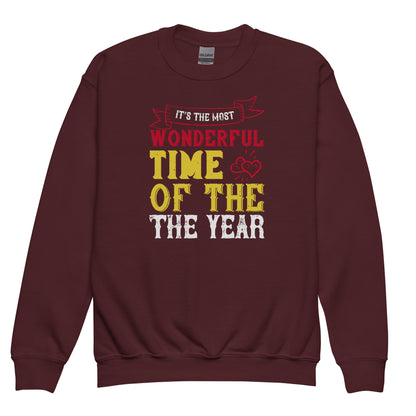 It's the Most Wonderful Time of the Year Christmas Kids Sweatshirt