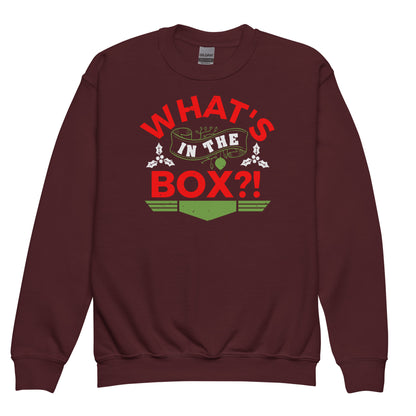 What's in the Box Christmas Kids Sweatshirt