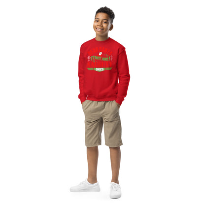 Dear Santa, They Are the Naughty Ones Christmas Kids Sweatshirt