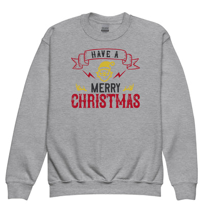 Have a Merry Christmas Kids Sweatshirt