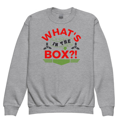 What's in the Box Christmas Kids Sweatshirt
