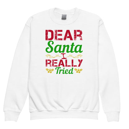 Dear Santa, I Really Tried Christmas Kids Sweatshirt