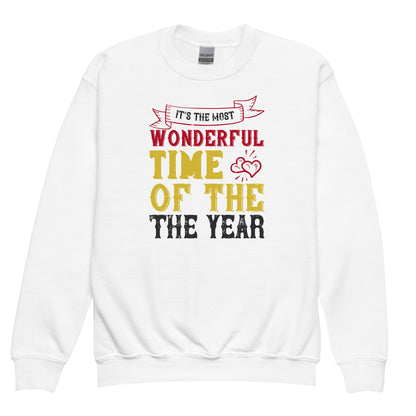 It's the Most Wonderful Time of the Year Christmas Kids Sweatshirt