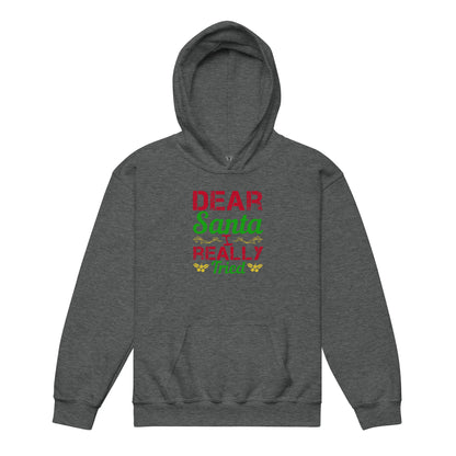 Dear Santa, I Really Tried Christmas Kids Hoodie